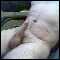moraira, bi guy looking for fun