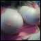 falmouth, hey female and man here looking for fuck