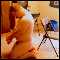 berea, male sub seeking to serve