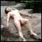 Tokio, major bi couple seeks fotocontact to same interested couple