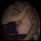 lowestoft, couple looking for friendship & fun