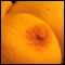 Monticello, Looking to meet another couple or a straight male
