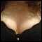 Sexy, honest, adventurous BI female looking for online fun