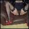 Wallington, Sub/Dom Heels and sexy panties/outdoor fun