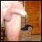 small village near benidorm, Looking for fun with females or couples