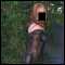 Glasgow/Edinburgh, Sexy crossdresser with an eye for detail looking for similar crossdresser or real girl for friendship and nights out... or days?