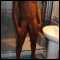 46950, Soy un chico negro de 30 a�os. Buscando solo Parejas y Chicas