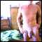 Denia, Gay couple looking for fun with others