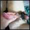 Bradford, Bi sub/switch tv, 31 in Bradford looking for fun!