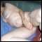 Couple into Massage and Gentle Pleasure