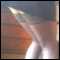 Peterboro / Kings Lynn  07903456608, Sexy CD wants to give you horny pleasure!