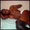 munic, BLACK NYMPHOMANIAC BI-FEM