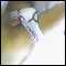 Bi after discrete fun / watch or involve