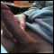 swindon, Fit bi guy, looking for hot women for some naked fun, or a willy to play with lol!