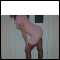 ipswich, Sexy lady offering fun and relaxation