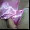WAKEFIELD, CLOSET CROSSDRESSER LOOKING FOR FUN