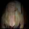 lowestoft, couple looking for friendship & fun