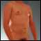 Norwich, Straight professional male looking for fun with females/couples.