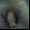 Married male 38 looking for discreet fun in West Lothian. Hope to find like minded lady for some fun.