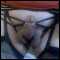penrith, horny bi cd looking for fun