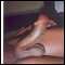 tema, want advernture  ? come 4 real passion