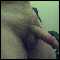 Married male 38 looking for discreet fun in West Lothian. Hope to find like minded lady for some fun.