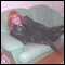 paris, sylvie mature french crossdresser