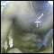 nottingham, horny, nottingham guy looking for sex sex sex