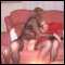 Easy going Couple for fun with Bi Fem or Couple