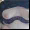 hi im i large girl looking for fun