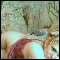albuquerque, sexual sensual couple who love to play on cam