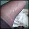cambridge, Jackie15Nylons
