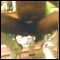 Greenwich, Analangel lookig 4 other xdreesing dirty girls like me 4 kinky girl on girl fun.