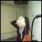Ayr, Belle, 20, Ayrshire. Blonde, blue eyes. xx