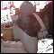 Cardiff, Young Bi- male occassional tv looking for sexy discrete fun.