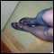 Washington, Mature very BI Tgurl in DC Metro area for other tgurls and men