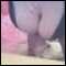 clacton, dirty essex girl looking 4 loads of dirty fun