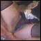 Norwich, Male would like to watch females flashing and couples in action