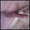 sudbury, easy going fun male eager to please
