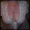 swanea, please no time wasters had enough of them lately if you want good sex then get in touch