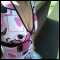 norwich, sexci bi female