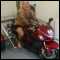 Bromborough, motorbike crash man now a amputee