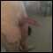 i love to watch.... and love mature women!