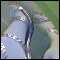 Greenwich, Analangel lookig 4 other xdreesing dirty girls like me 4 kinky girl on girl fun.