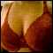 Inman, Spartanburg Couple Looking For Some Adult Fun!!!