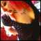 , young couple seeking some fun