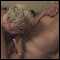 Milton Keynes, Horny 50s couple seek single males, females, couples groups for swinging fun