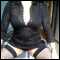 Any where in SW or Midlands, Would like to meet you for fun