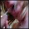 Redhill, Dannyjane blond slim sexy tv Surrey