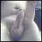 , looking for some fun